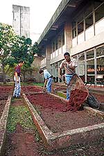 Educação: compromisso de todos