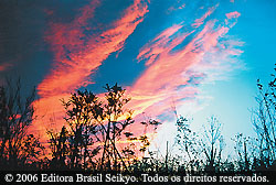 Uma única pessoa corajosa consegue mudar o mundo