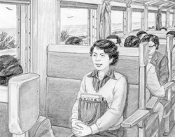 Capítulo: “Luz da Felicidade”