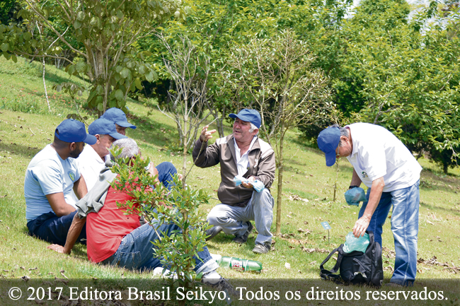 Sentimento de gratidão 