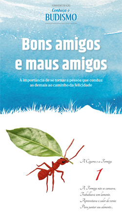 Bons amigos e maus amigos