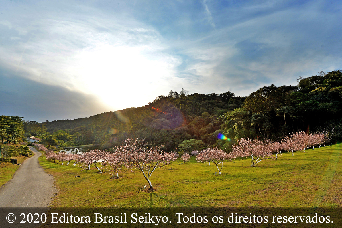 Vencer o inverno