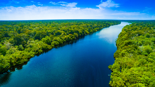 Majestoso como o rio Amazonas
