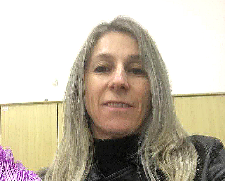 Raízes da comprovação