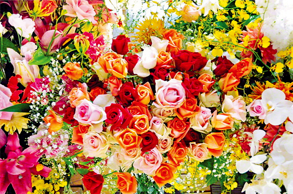 “Sinfonia da felicidade” com riqueza no coração