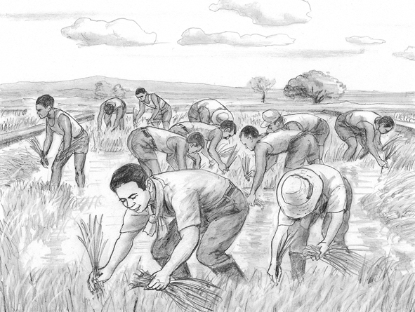 Superar tudo com determinação