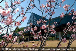 Brasil, Seja Monarca do Mundo!