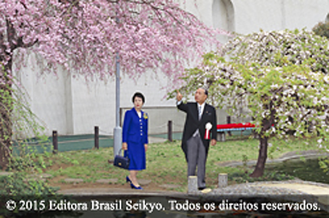 Vamos abrir o caminho Soka coberto de flores de cerejeira!