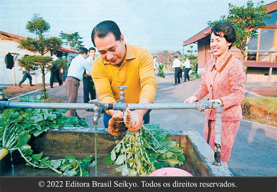 em local aberto, presidente Ikeda, ao lado da esposa Kaneko, lava verduras em tanque; homens ao redor ajudam no transporte do alimento. 
